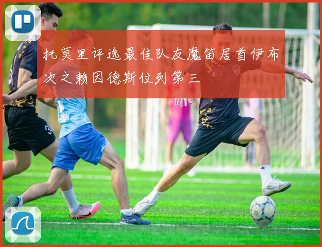 托莫里评选最佳队友魔笛居首伊布次之赖因德斯位列第三