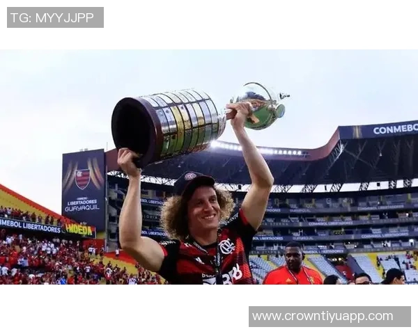 自2019年起巴西球队连续称霸南美解放者杯今年冠军已然确定 自2019年起巴西球队连续称霸南美解放者杯今年冠军已然确定